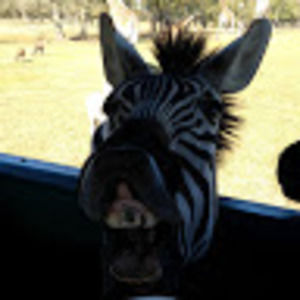 Meet your Posher, Ronnie